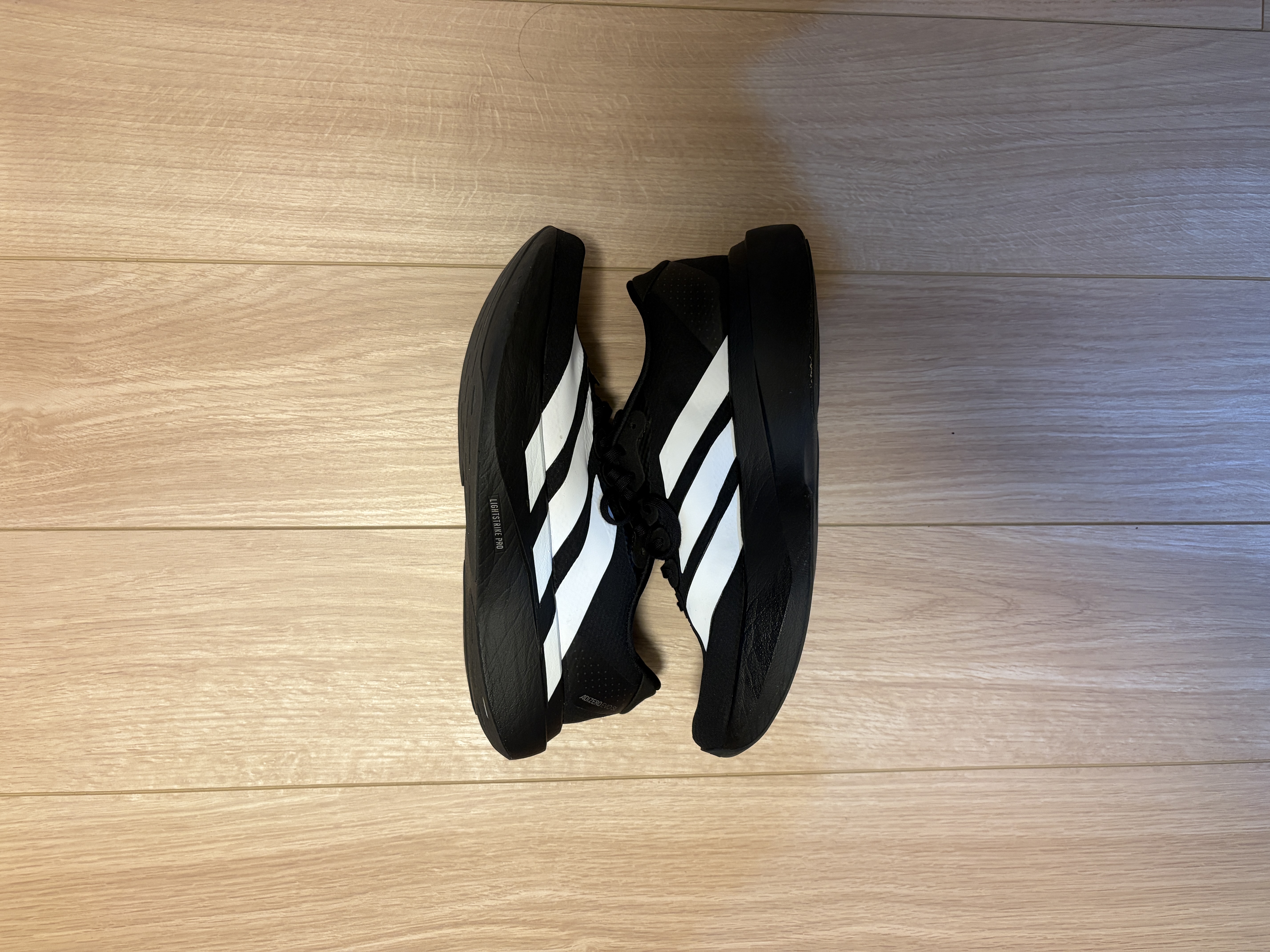 ADIZERO EVO SL。荒川河川敷で爆走していた1足